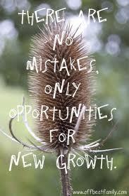 There Are No Mistakes, Only Opportunities For New Growth ”