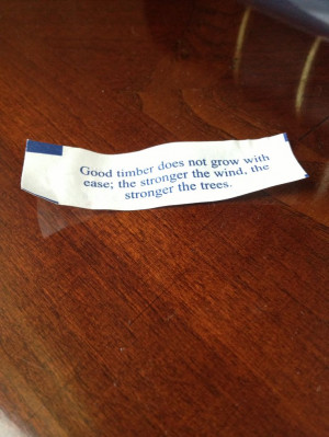 Good fortune cookie quote