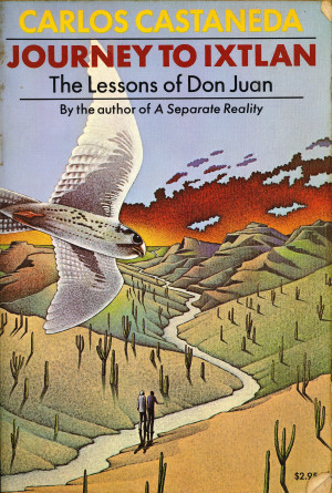 the teachings of don juan journey to ixtlan