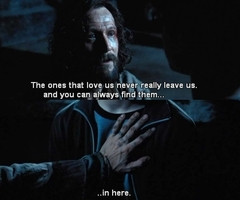 Sirius Black Quotes by Sirius