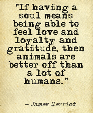 ... Soul Means Being Able To Feel Love And Loyalty And Gratitude - Animal