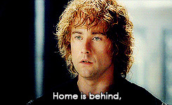 ... the king The Lord of the Rings Faramir Denethor our gifs Pippin Elise