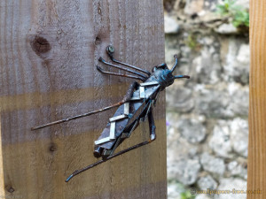Metal Cricket Insects Wallpaper...