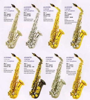 Unverified Supplier - Heibei Shenglun Musical Instrument Co., Ltd.