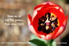 ... anxiety, lift every burden of strife, heal every wound of unkindness