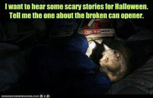 scary cat can opener...