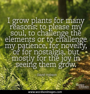 Gardening quote