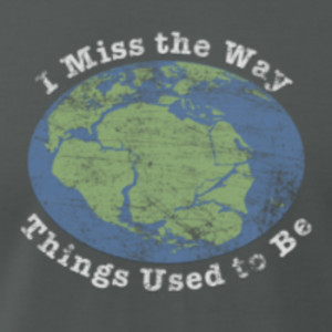 593986170_i_miss_the_way_things_used_to_be_design_answer_4_xlarge.png