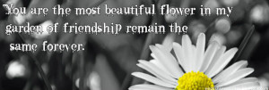 You are the most beautiful flower- Friendship Quotes