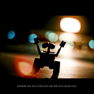 Quotes Project (46 pics)