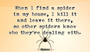 When I Find a spider in my house | Others on Slapix.com