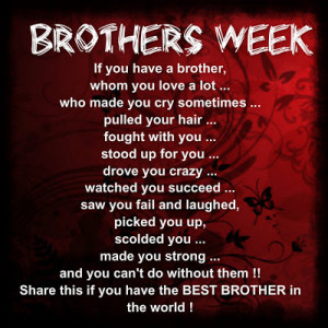 brothers week if you have a brother whom you love a lot who made you ...