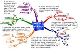 How to Use Mind Maps to Unleash Your Brain's Creativity and Potential