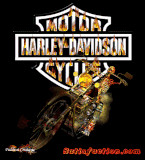 Harley Davidson Preview Image 1
