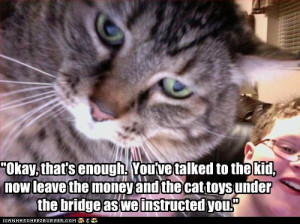 Funny Cats Cat Threats