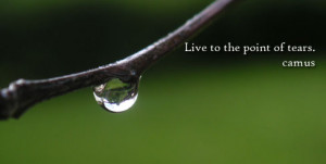 Home Location, Fees and Services Therapeutic Approach About Paula ...