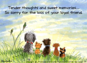 Sympathy Cards for Pets