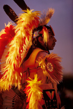 Pow WoW Fancy Dance | Native American men's traditional pow wow dancer ...