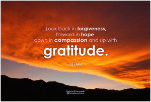 Letting Gratitude Enrich Your Life