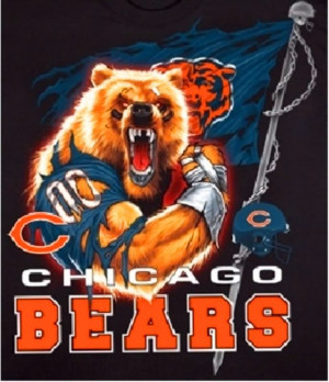chicago bears Image