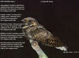 Funny Quotes Contact Dmca...