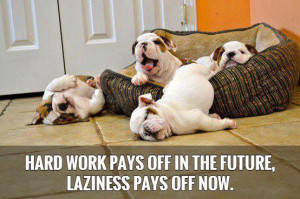 hard-work-pays-off-in-the-future-laziness-pays-off-now-quote-1.jpg