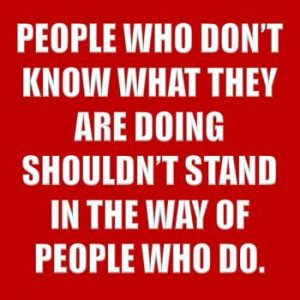 people who don t know what they are doing shouldn t stand in the way ...