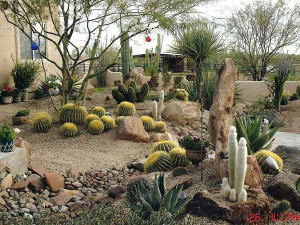 25 Breathtaking Desert Landscaping Ideas