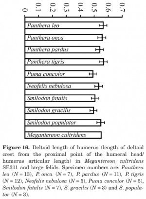 TIGER & LION GRAPPLING