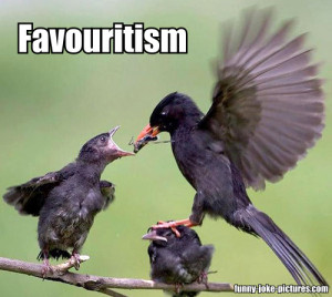 Funny Bird Favouritism Meme Joke Picture | Mother bird feeding baby ...
