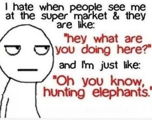Yep, I'm hunting elephants