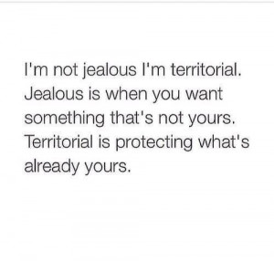 not jealous. I'm territorial.