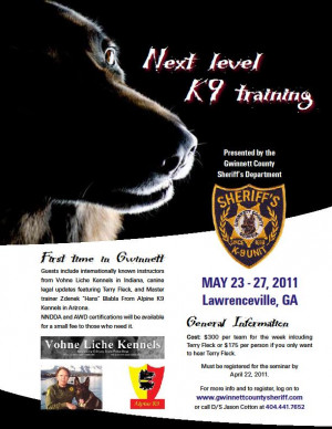 Dog Training Flyer