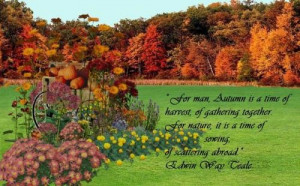 Autumn is a time of harvest #autumn #fall #leaves