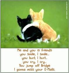 Funny Friendship Quotes, Cat Quotes, Funny Sayings, Birthday Quotes ...