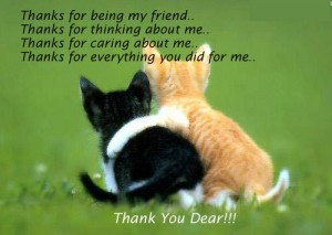 ... thanks-for-caring-about-me-thanks-for-everything-you-did-for-me-thank