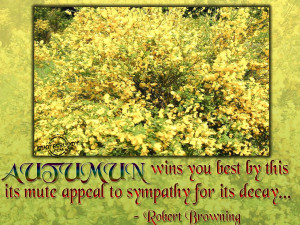 This picture was submitted by Gurinder jeet.