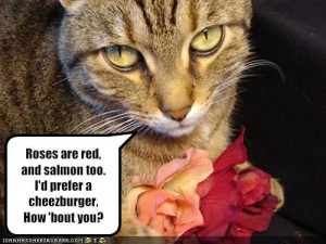 ... Valentine's Day: Twitter Ladies confess to Japheth 5 Funny-Valentines