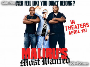 Malibu's Most Wanted (DVDRip) - ONLINE SCHAUEN