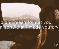 didnt mean to hurt you -
