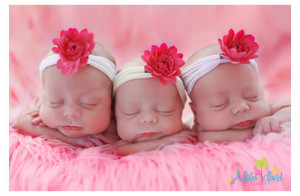 cute baby triplets cute baby triplets babies boys triplets