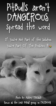 Favorite Dog & Cat Quotes and Poems