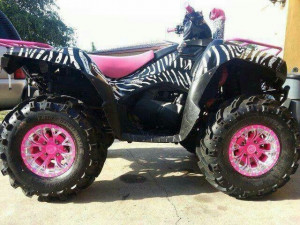 zebra and pink 4 wheeler