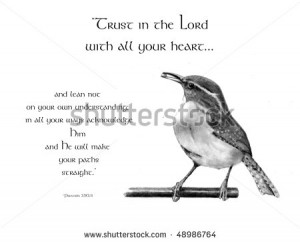 Pencil Drawing of Wren With Proverbs Bible Verse