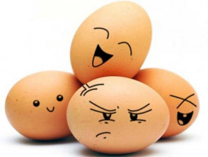Quotes about eggs | Funny egg jokes