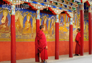 ... buddhism : Tiksey gompa (buddhist monastery in Ladakh) : two