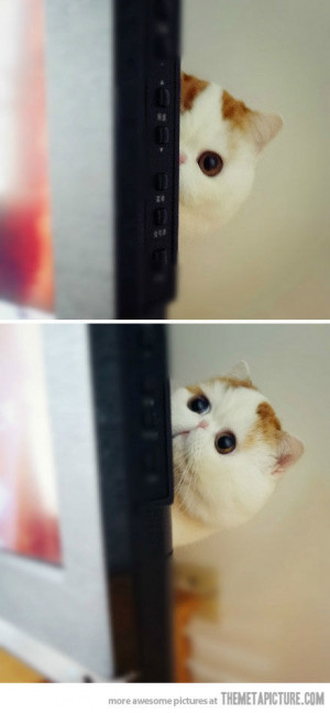 Stephen King Quotes on Harry Potter Funny Stephen King Quote Harry