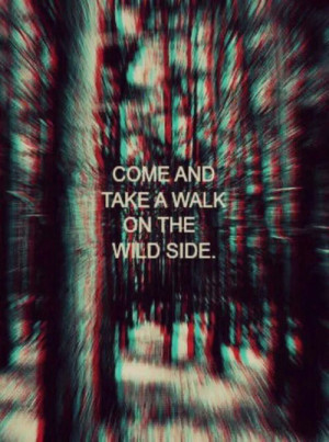 COME AND TAKE A WALK ON THE WILD SIDE •