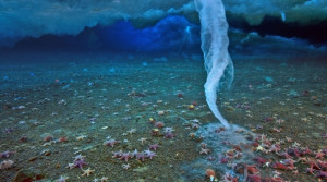 Fenómeno en el fondo del mar congela todo a su paso