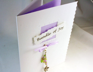 bundle of joy new baby card and accessory